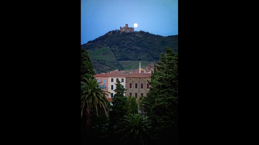 Les Jasmins Daire Collioure Dış mekan fotoğraf